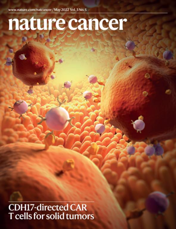 Recombinant Human Cadherin-17 Protein, 11360-H08H | Sino